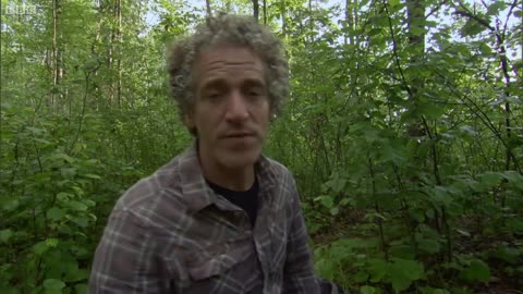 Helping Baby Bear Survive in the Forest | BBC Earth