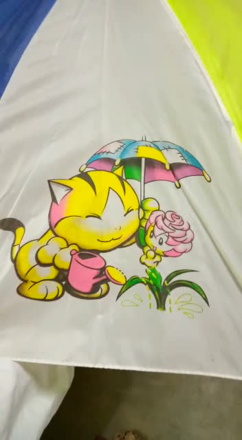 Beautiful painting on Umbrella!