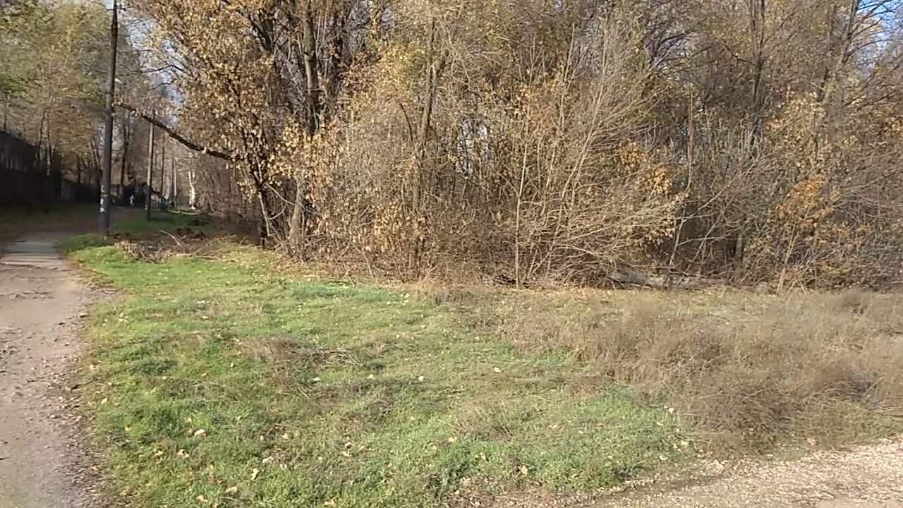 Railway panorama