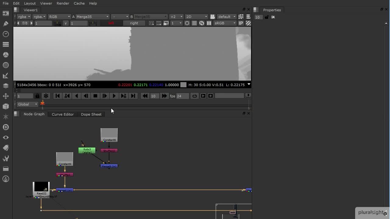 Nuke software in operation
