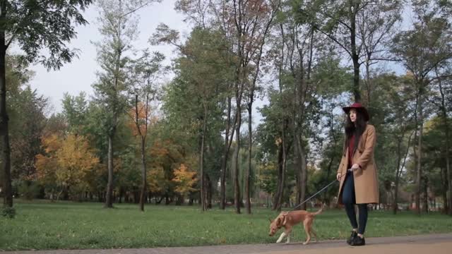 Stunning woman with puppy walking in autumn park