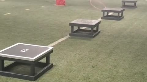 Whats a amazing # Dog # Training Academy