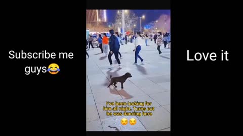 Dog 😂 owns the dance floor with her adorable dance moves