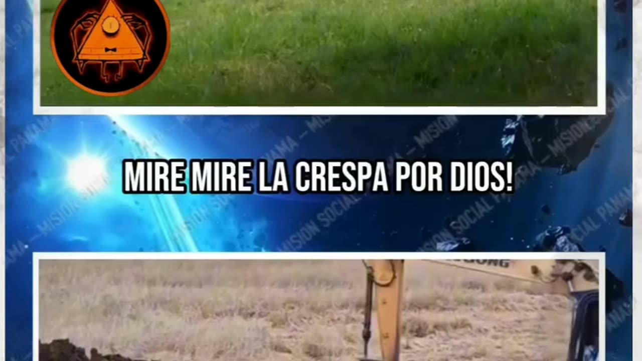 VACAS MUERTAS