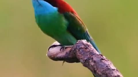 Study nature, love nature, stay close to nature