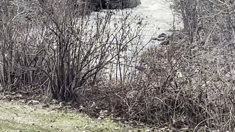 Back at my chill spot