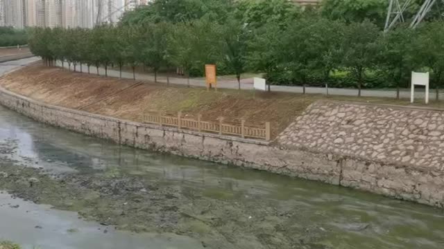 The river water is getting less and less, except for the silt is the algae