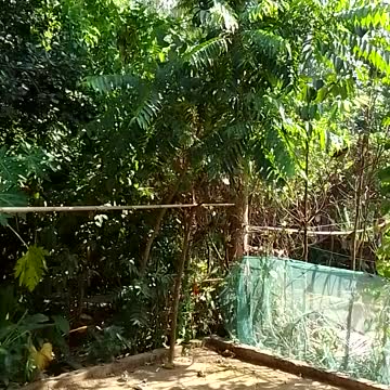 New White House for you