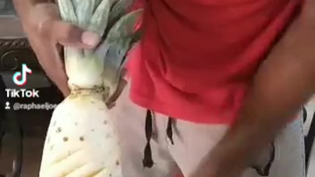 Peeling pineapple