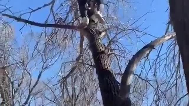 Are you okay?