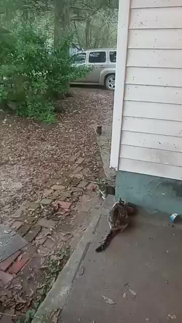 Here They Come From Where Ever They Go, Ready To Eat