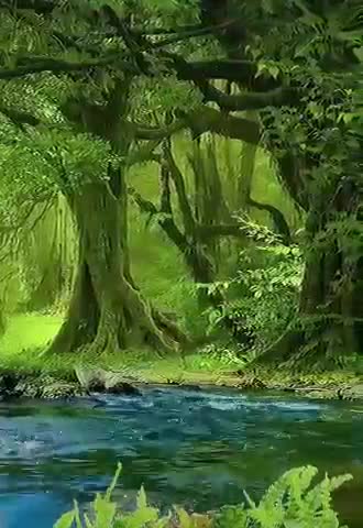 Rumble :- Natural video 👌👌👌