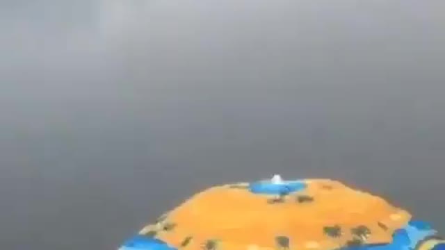 This is a beautiful and charming water-dwelling species