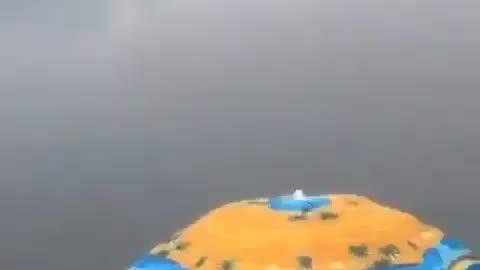 This is a beautiful and charming water-dwelling species