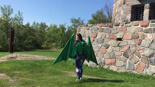 Dragon Wings