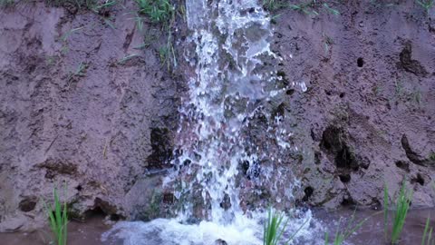 Water supply in rice planting