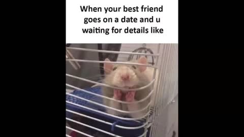 Funny Meams 😂 || Real Life Meams 🔥 || Video by Adeela33