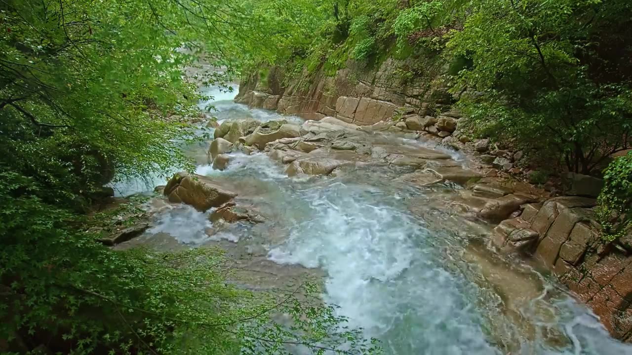 Nature video