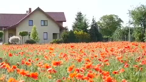 Alles für den Klima-Wahn: Deutsche sollen in WGs und Massenunterkünften wohnen 🇩🇪🏢