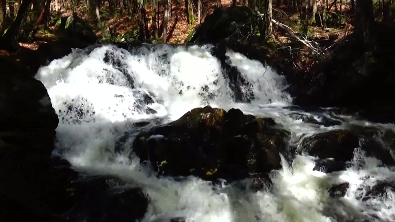 Cascade