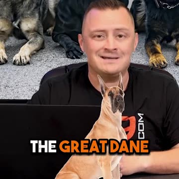 3 Dog Breeds We DON’T Recommend