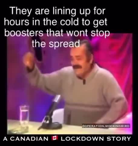 The FUNNIEST & TRUEST add-lib