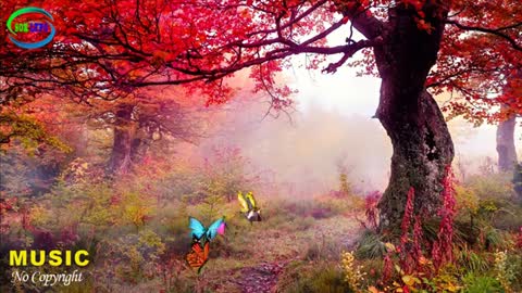 Relaxing Music | Sleeping, Meditation, Stress Relief | [1579] ⭐️