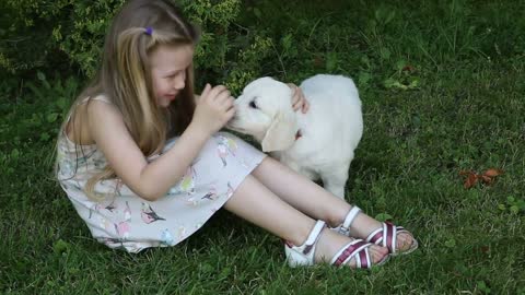 Beautiful little girl playing with the puppies in nature