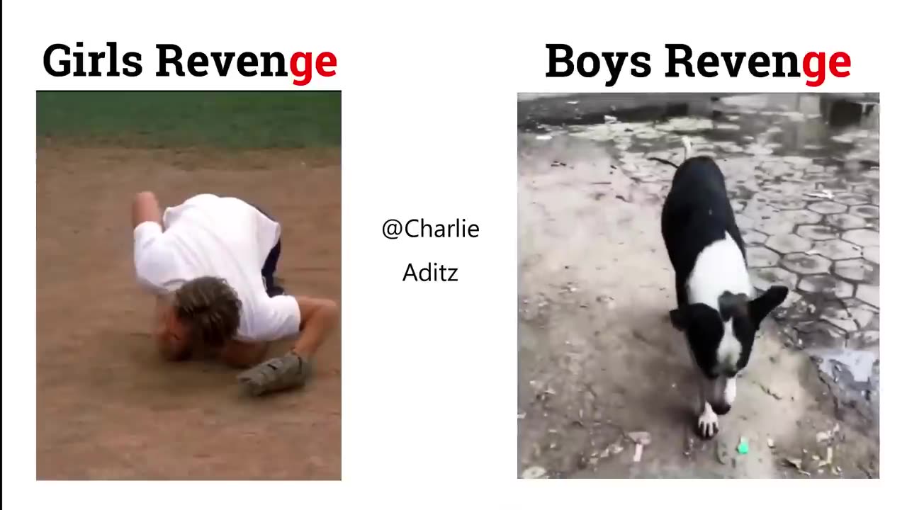 Normal Revenge vs Legend Revenge/#viral memes/#memes/#status