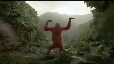 Monkey Danse