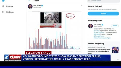 OAN BREAKDOWN OF ELECTION FRAUD - The argument shunned by the judiciary