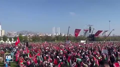 Turkey: a demonstration of support for Hamas and the Palestinians today in Istanbul.