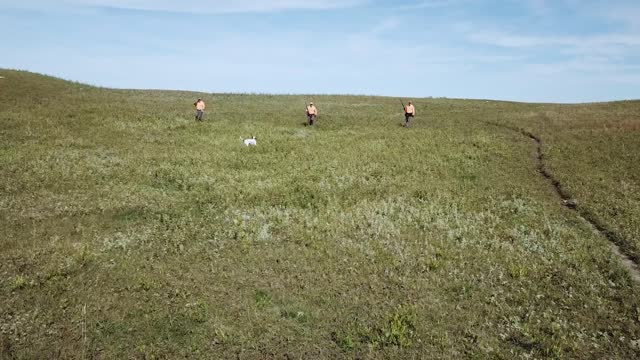 2019 Pyke North Dakota Sharptail and Hun Hunting