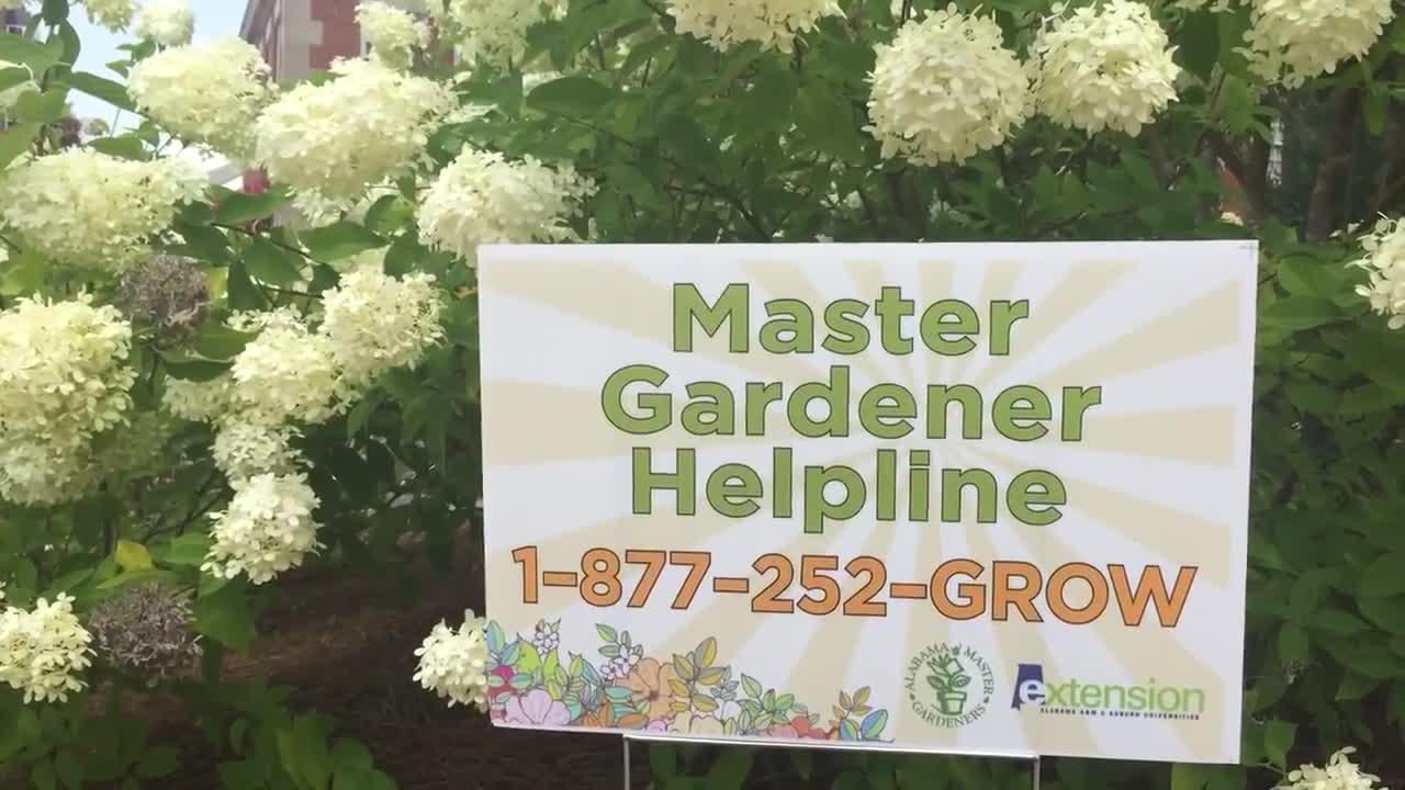 Helpline for Alabama Master Gardeners