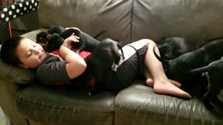 RJ and puppies