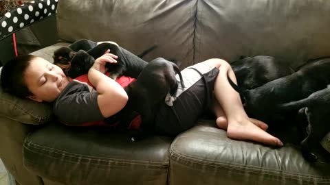 RJ and puppies