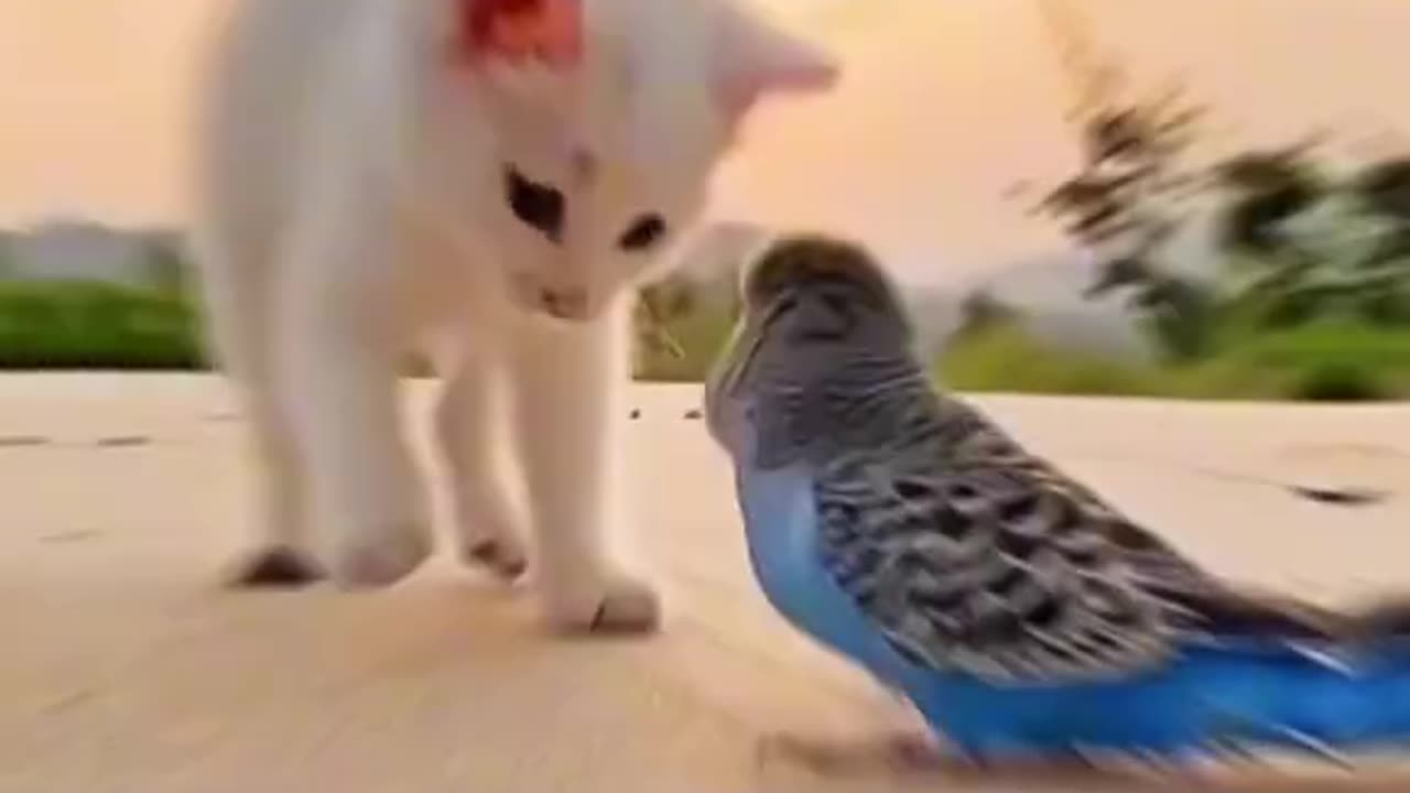 best friendship ever