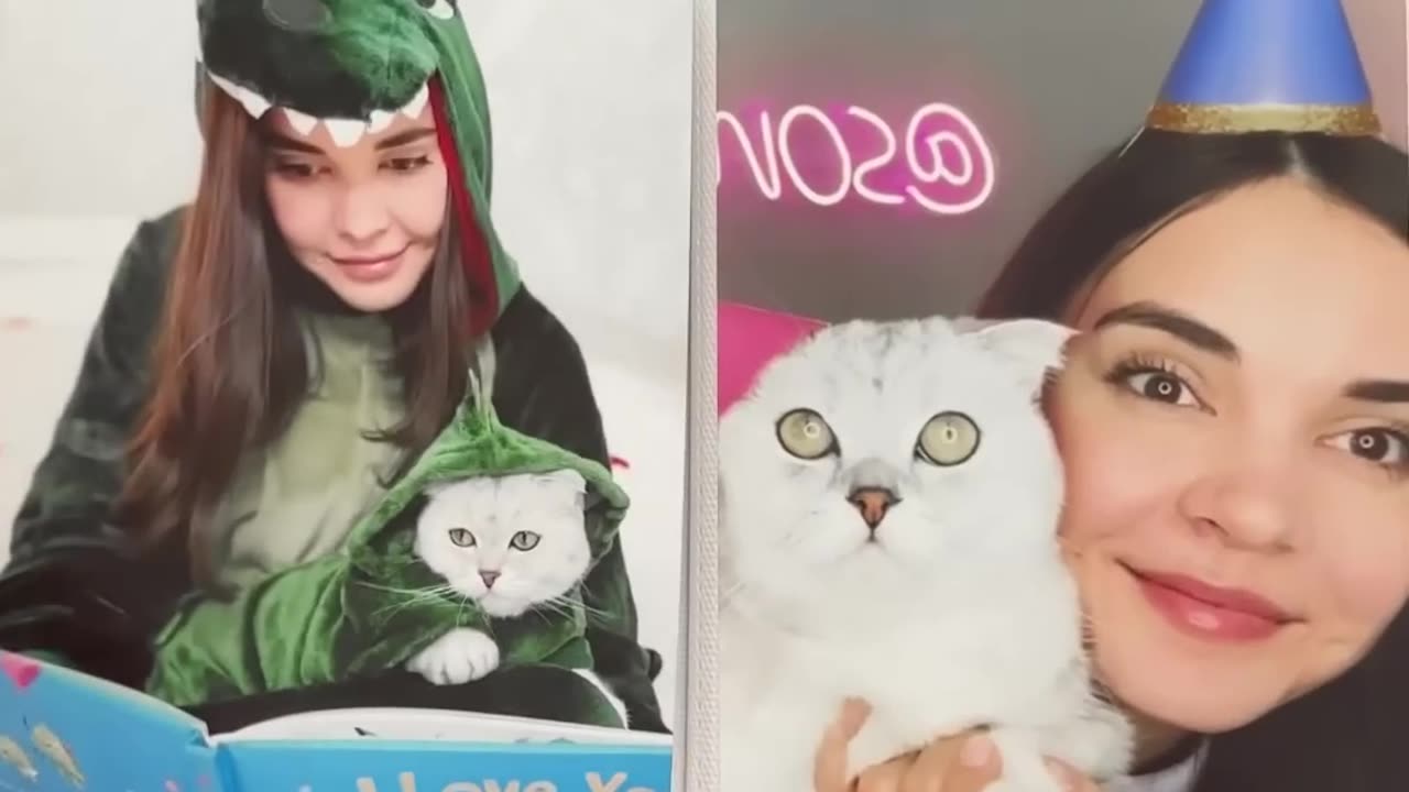 #cat_#cats