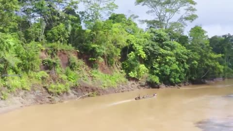 बच्चे ना देखें ,दुनिया के 10 सबसे खतरनाक जंगल | 10 Largest Forest in the World ,amazon rainforest