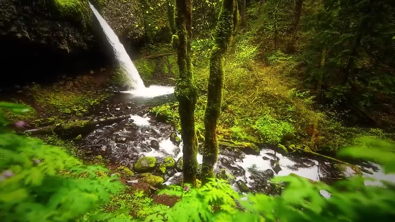 Beautiful National videos