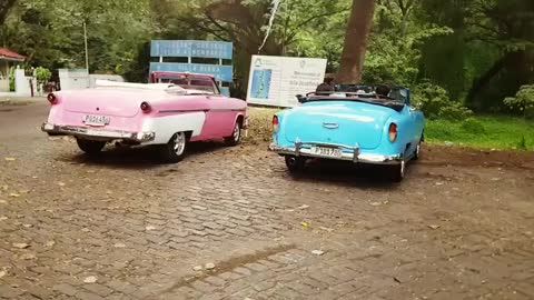 Classically beautiful cadillacs in Cuba