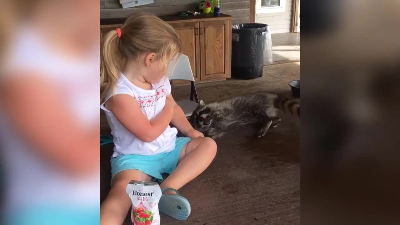 She Rolled and Fell - Hilarious Pets