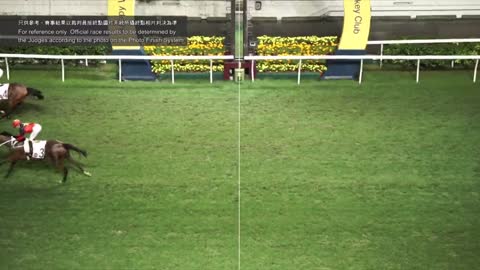 Horce_Race_2022051107_English