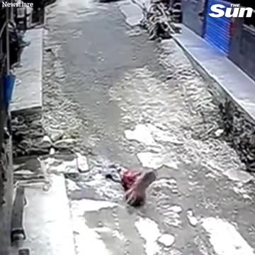 Toddler Rescued from a Wild Monkey Kidnapping in China