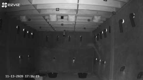 on progres 13 November 2020