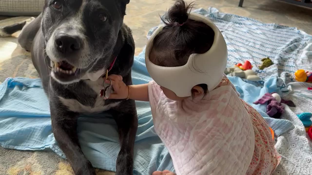 Baby funny vedios with her pet friend