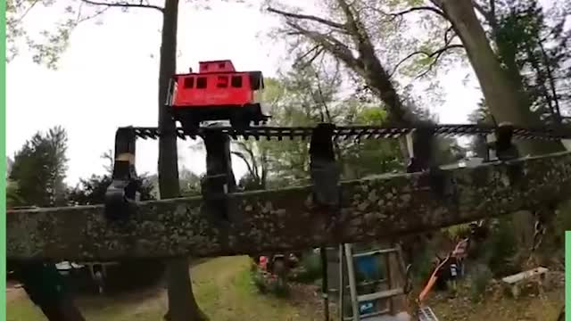 The strength required for these moves is amazing... 💪