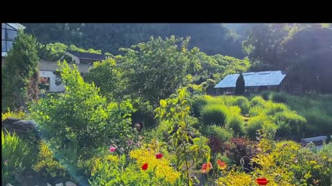 Mountain huts bring a lot of joy