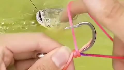 This is a beautiful and charming water-dwelling species