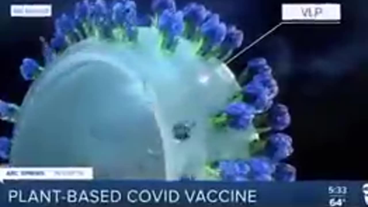 Plant based vaccines